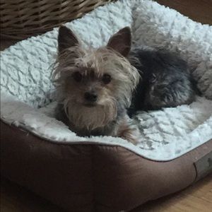 Meet your Posher, Liza